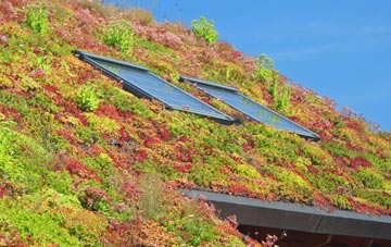 Cooling Street living roof systems
